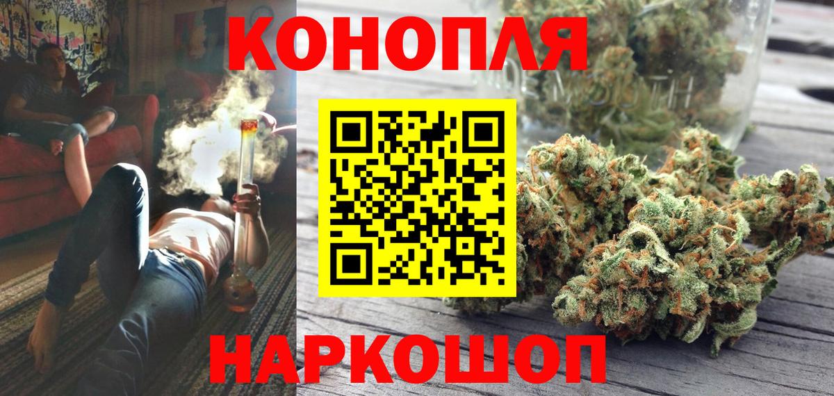 Конопля гибрид Нурлат